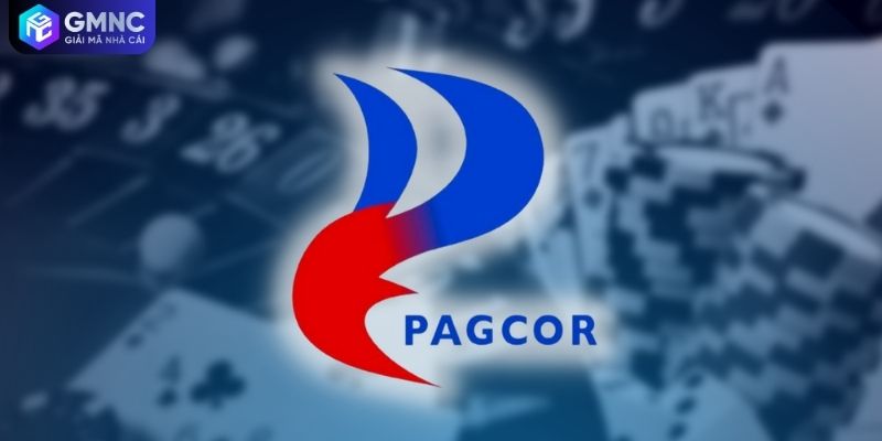 Giấy phép quốc tế trong bài viết giới thiệu GMNC