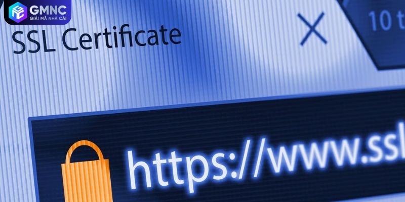 Link vào nhà cái chính hãng đảm bảo an toàn kết nối